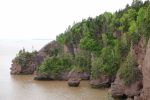 PICTURES/Covered Bridge, Rocks and More Fossils/t_Hopewell Rocks5.JPG